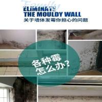 瑞忆除霉剂墙体白墙面清洁剂家用室内防卫生间厨房霉斑墙壁去霉