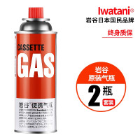 大号250g*2瓶 常规炉通用 户外便携液化瓦斯气体燃气罐卡斯炉丁烷气瓶卡式炉迷你气罐
