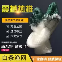 0.8米高2指40米长单层沉网 [长坠] 单层鱼网浮网沉网一指1.5指 粘鱼网1米50m捕鱼白条小鱼网丝网渔网