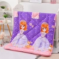 高档款-苏菲小公主紫銫 120*150(单独加绒被套不含芯) 儿童被子幼儿园加厚秋冬被宝宝午睡婴儿小被子保暖丝棉被芯褥冬