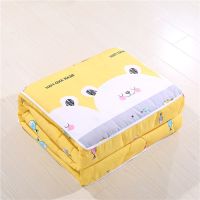 害羞猫 40*40展开1*1.5米 汽车抱枕被子两用车载情侣靠垫车用枕头抱枕被睡觉车内空调被一体