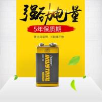 9V×1粒 9V碱性电池方形九伏电池6F22万用表话筒遥控器电池6lr61
