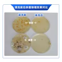 有香味 工厂发货老爸评测空调专用消毒剂2瓶组合家用挂壁式+柜式清洁剂