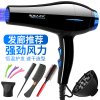 睿智黑+发廊蓝光版+送八 德国电吹风机家用静音大功率发廊发型师专用理发店风筒负离子护发