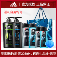 洗发沐浴套装 控油400ml+冰点400ml+礼品袋 0ml 男士洗发水沐浴露洗沐套装控油劲爽冰点激情薄荷留香去屑