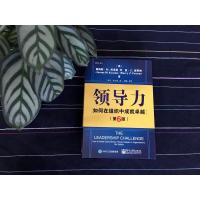 官方 领导力:如何在组织中成就卓越(第6版)第六版 企业经营管理书 卓越领导力书籍 领导力领域经典著作 领导力执行力培