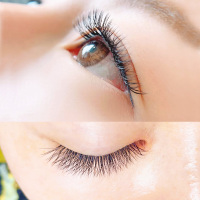 自然纤长款 8mm 婴儿弯睫毛y型嫁接睫毛编织爱情网貂毛一秒自动开花种假睫毛自然