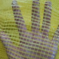 5080黄色圆织普通 50条 网袋编织袋网兜装家禽鸡鸭水果蔬菜装土豆洋葱使用网袋