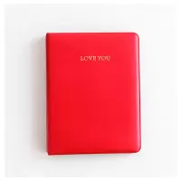 5寸love相册 红色 适用于富士拍立得wide300水晶透明保护壳 黑色皮套宽幅相机专用包送肩带