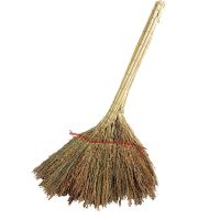 高粱 苗 笤帚[加厚] 环卫竹扫把马路大扫把家用扫把庭院大扫帚扫院子笤帚塑料丝竹扫把