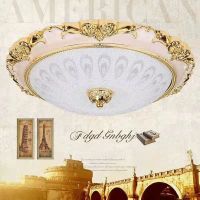 直径30cmLED白光 客厅灯水晶大灯圆形led吸顶灯大气餐厅吊灯现代简约大厅卧室灯具