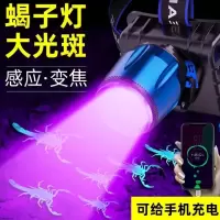 紫光(标配)送镊子 感应头灯强光可充电紫光蝎子灯捕蝎灯超亮矿灯头戴式夜钓鱼灯led