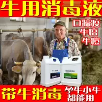 牛圈消毒专用[交替使用效果好] 聚维酮碘2斤/共1桶#单独1桶 牛棚消毒液养殖场专用牛圈消毒液兽用布病消毒杀菌牛羊圈用消