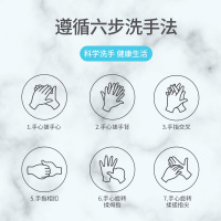 其他/other 480ml 洗手液瓶装家用清洁卫生护理便携式补充液大瓶儿童装480ml