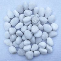 50斤普通白色1-3cm 50斤抛光白色鹅卵石庭院花园铺路铺地装饰石头户外阳台造景雨花石