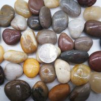 五彩鹅卵石 天然鹅卵石户外地板头花卉鱼缸园林铺路装饰园艺彩石头景观5斤装