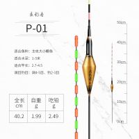 夜行者P-01 单支[配5颗电池] 夜光漂水无影夜钓浮漂多目亮细尾鲤鱼漂电子发光漂渔具特价配电池