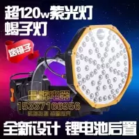 bx6紫光送镊子 捕逮蝎子灯紫光灯豆虫灯手提灯头戴式手持式捉蝎头灯照蝎灯
