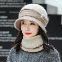 帽子女秋冬季韩版百搭中老年人奶奶老太太冬天加绒保暖妈妈毛线帽