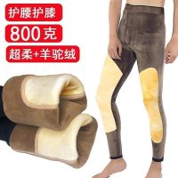 巨亏冬季新款男棉裤加厚加绒护腰护膝高腰保暖裤打底裤棉毛裤