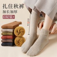 加厚袜子女冬季加绒长筒保暖袜棉黑色高筒长袜冬天保暖小腿棉袜