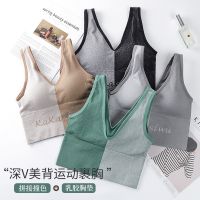 秋冬款瑜伽运动内衣女无钢圈高强度背心防震聚拢美背跑步健身文胸