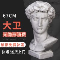 大卫石膏头像小卫海盗伏尔泰马赛维纳斯琴女几何体思考石膏头像