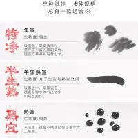 宣纸国画生宣纸书法纸毛笔字练习纸半生半熟初学者书法练习纸