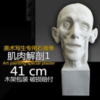大卫石膏头像小卫海盗伏尔泰马赛维纳斯琴女几何体思考石膏头像