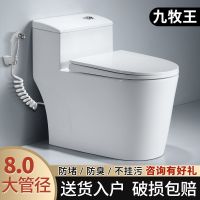 九牧王家用马桶坐便器卫生间陶瓷大便器防臭抽水座便器虹吸式坐厕