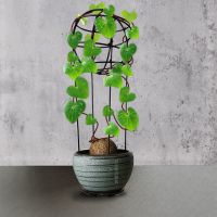 银叶布袋龟甲龙花架山乌龟花支架球型爬藤植物花架铁艺蓝雪花花架