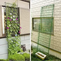 阳台爬藤架葡萄架月季爬藤架铁线莲花架植物攀爬园艺架子