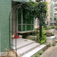铁艺拱门花架爬藤架花园花艺葡萄月季丝瓜商场货架装饰架子
