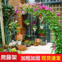 户外阳台铁艺鲜花拱门花架蔷薇爬藤架子月季丝瓜拱形攀爬花支架