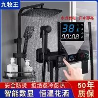 恒温全铜增压淋浴花洒套装浴室家用卫生间洗澡喷头淋雨黑色