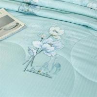 蚕丝被桑蚕丝空调被春秋被加厚冬被子单双人被芯被褥