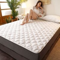 a类全棉榻榻米床垫棉软垫家用学生宿舍单人床褥子垫被