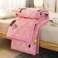 加厚牛奶绒微芙绒保暖床褥垫褥子垫被法兰绒床垫铺底毛毯垫软垫