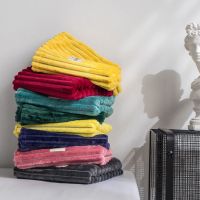 魔法绒枕套一对装冬天加厚单双人保暖法兰绒珊瑚绒枕头套单个