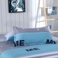 枕头套一对装棉套装48x78cm双人单人成人单个大号加厚