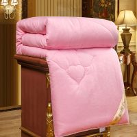 100蚕丝被春秋被子冬天加厚冬被双人棉被空调被芯