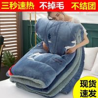 10斤加厚羊羔绒冬被保暖被子秋冬被芯棉被单人双人学生宿舍春秋被