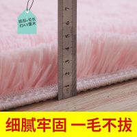加厚地毯卧室可爱房间床边毯满铺榻榻米垫客厅沙发茶几地毯地垫