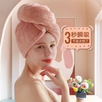 加厚加大干发帽干发巾吸水速干成人女长发帽擦头发毛浴巾