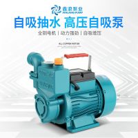 家用自吸泵220v高压泵自来水管道增压泵水井抽水泵漩涡式离心泵
