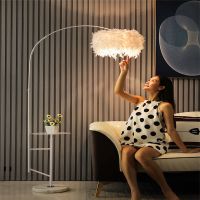 北欧钓鱼灯网红羽毛落地灯卧室少女心客厅沙发边床头创意茶几台灯