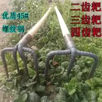 三齿耙铁耙农用工具钢耙子抓钩钉耙松土耙翻土耙泥耙园林耙子