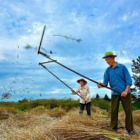 打菜籽连盖,打谷子连枷,打胡豆豌豆豆子。农村用的工具。