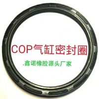 密封件气缸活塞圈cop apa双向密封圈 气缸气动密封 c型双o8字圈