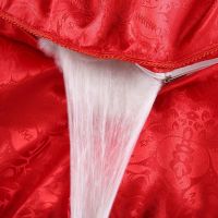 桐乡蚕丝被桑蚕丝春秋被子单双人夏凉被加厚冬被芯子母婚庆被